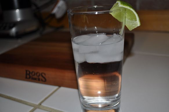 gin-and-tonic