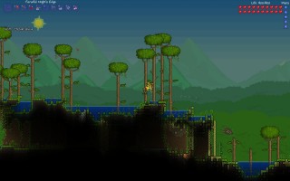swamp